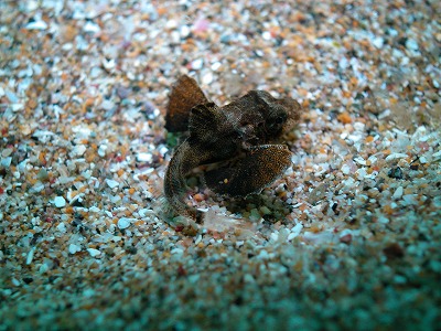 DSCN4168.jpg