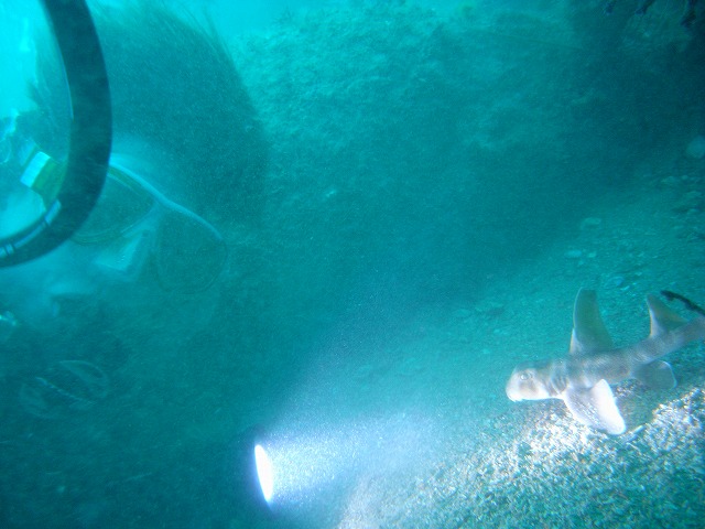 M0018632.jpg