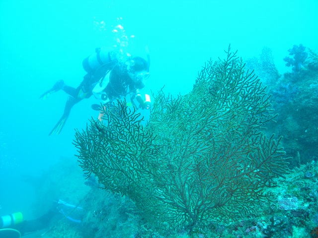 M0018636.jpg