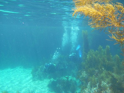 M0019716.jpg