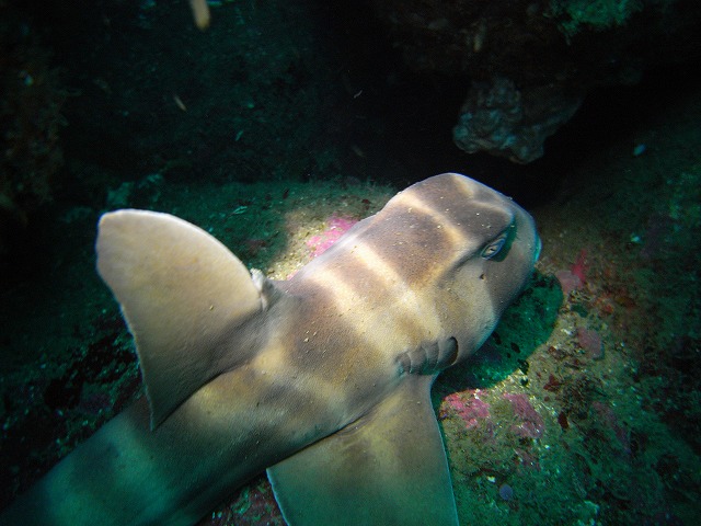 M0020106.JPG