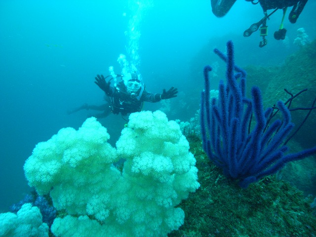 M0020123.jpg