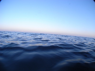 M0020954.jpg
