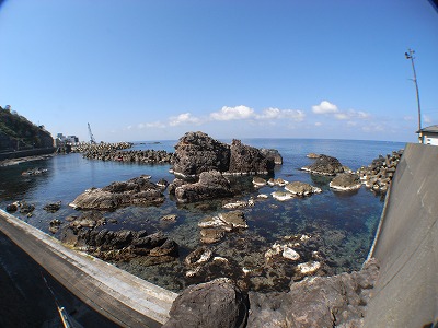 M0021008.jpg