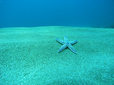 M0021035.jpg