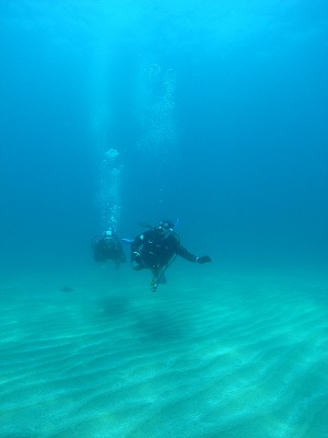 M0021057.jpg