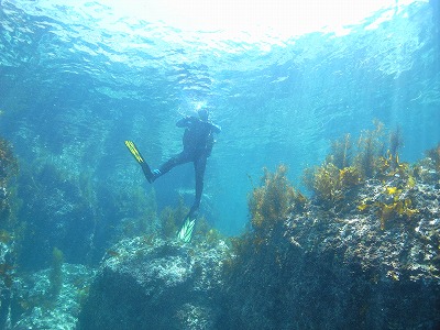 M0021076.jpg