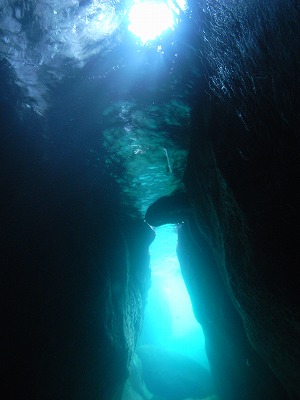 M0029888.jpg