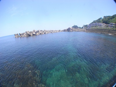 M0039850.jpg