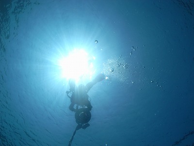 M0039854.jpg