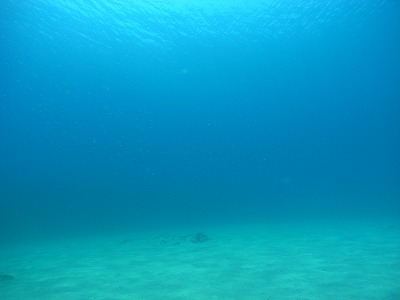M0039861.jpg