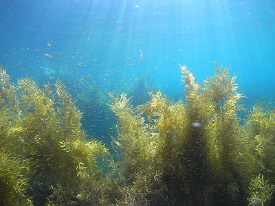 M0039909.jpg