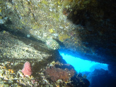 M0039947.jpg