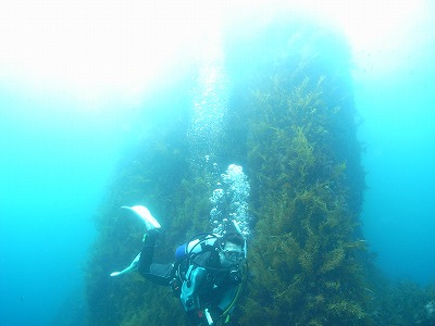 M0039982.jpg