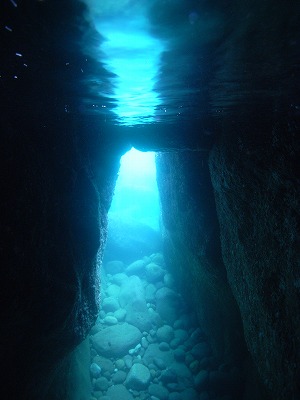 M0060004.jpg
