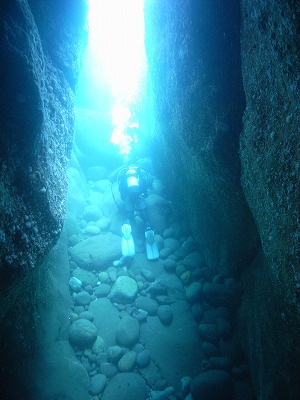 M0060020.jpg