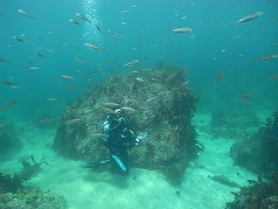 M0070012.jpg