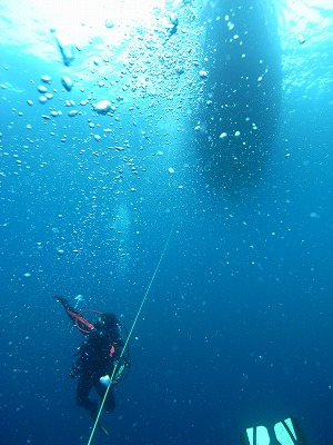 M0070161.jpg
