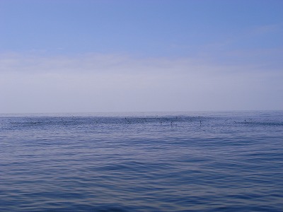 M0070200.jpg