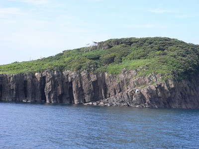 M0070262.jpg