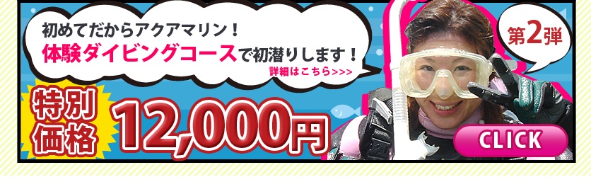 体験ダイビングコース特別キャンペーン