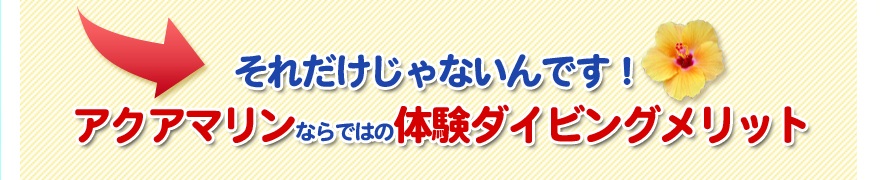 アクアマリンならではの体験ダイビングメリット